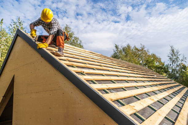 Best Roof Gutter Cleaning  in Willits, CA
